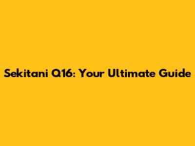 Sekitani Q16: Your Ultimate Guide