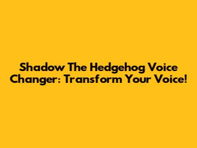 Shadow The Hedgehog Voice Changer: Transform Your Voice!