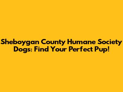 Sheboygan County Humane Society Dogs: Find Your Perfect Pup!