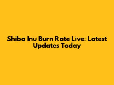 Shiba Inu Burn Rate Live: Latest Updates Today