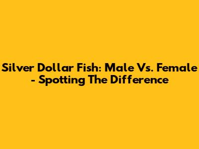 Silver Dollar Fish: Male Vs. Female - Spotting The Difference