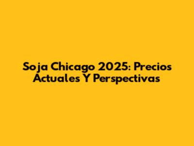 Soja Chicago 2025: Precios Actuales Y Perspectivas