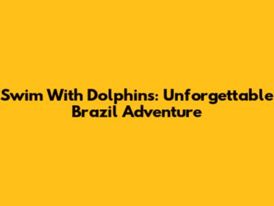 Swim With Dolphins: Unforgettable Brazil Adventure