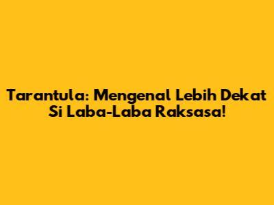 Tarantula: Mengenal Lebih Dekat Si Laba-Laba Raksasa!