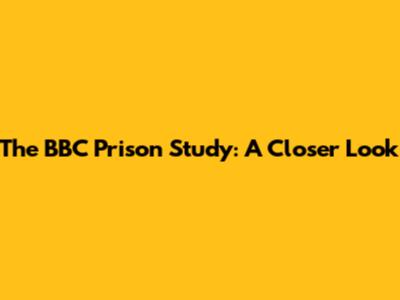 The BBC Prison Study: A Closer Look