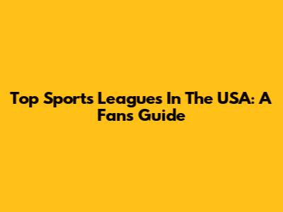 Top Sports Leagues In The USA: A Fan's Guide