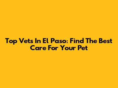 Top Vets In El Paso: Find The Best Care For Your Pet