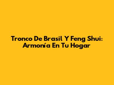 Tronco De Brasil Y Feng Shui: Armonía En Tu Hogar