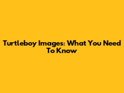 Turtleboy Images: What You Need To Know