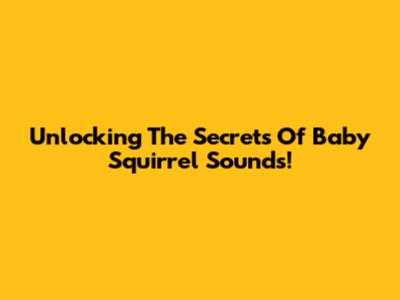 Unlocking The Secrets Of Baby Squirrel Sounds!