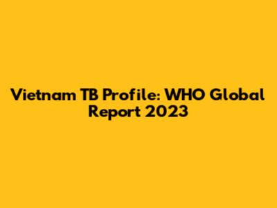 Vietnam TB Profile: WHO Global Report 2023