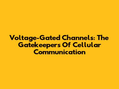 Voltage-Gated Channels: The Gatekeepers Of Cellular Communication