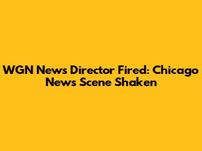 WGN News Director Fired: Chicago News Scene Shaken