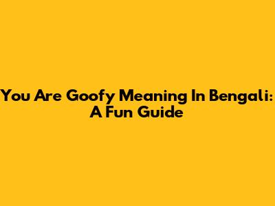 You Are Goofy Meaning In Bengali: A Fun Guide