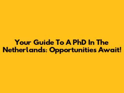 Your Guide To A PhD In The Netherlands: Opportunities Await!
