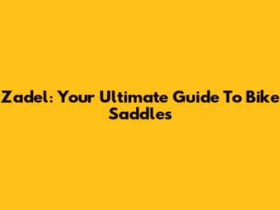 Zadel: Your Ultimate Guide To Bike Saddles