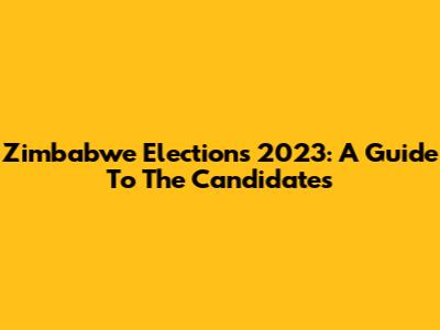 Zimbabwe Elections 2023: A Guide To The Candidates
